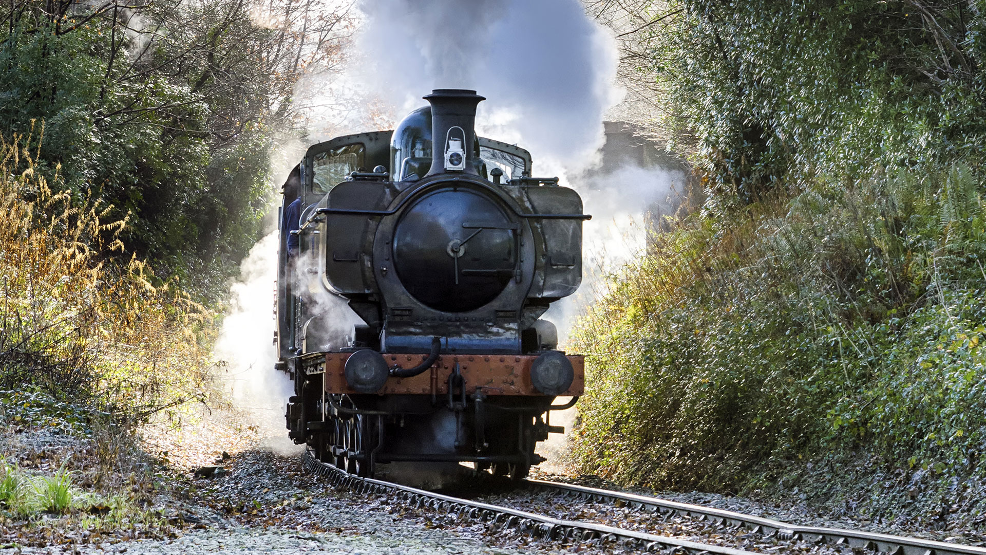 Round robin tour Bed & Breakfasts in Ipplepen Stonelands Bed and